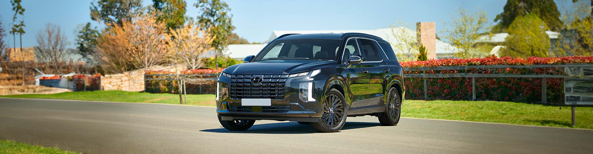 Hyundai Palisade Calligraphy Black Ink 2024 on road